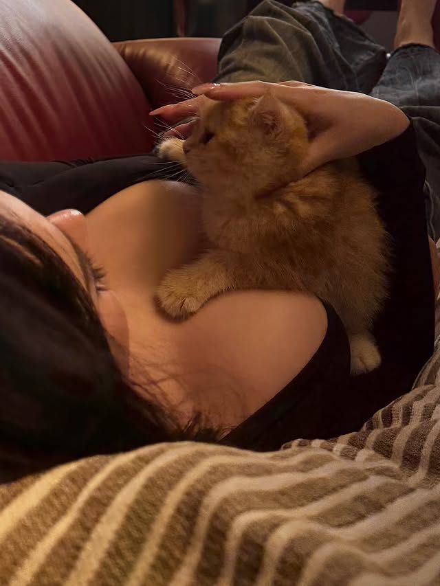 uyen-ni-bieu-tuong-phu-nu-hien-dai