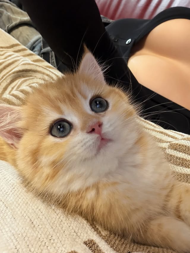 uyen-ni-bieu-tuong-phu-nu-hien-dai1